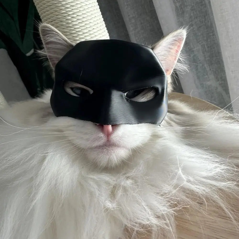 Mystic BatCat Mask