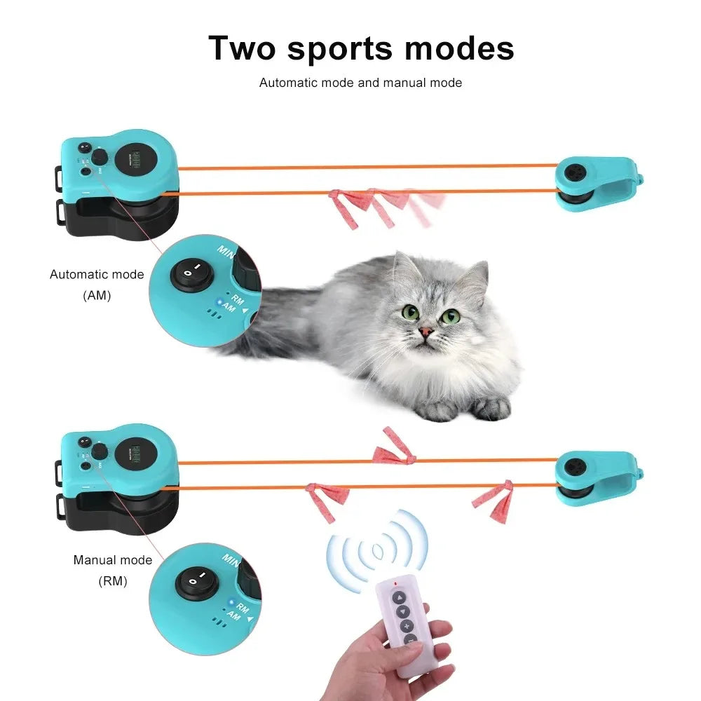 Kitty Kart