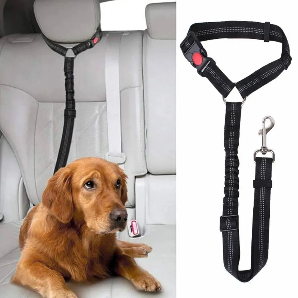 GuardLeash 2-in-1