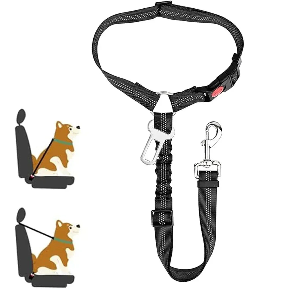 GuardLeash 2-in-1