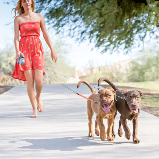 DuoGlide Leash