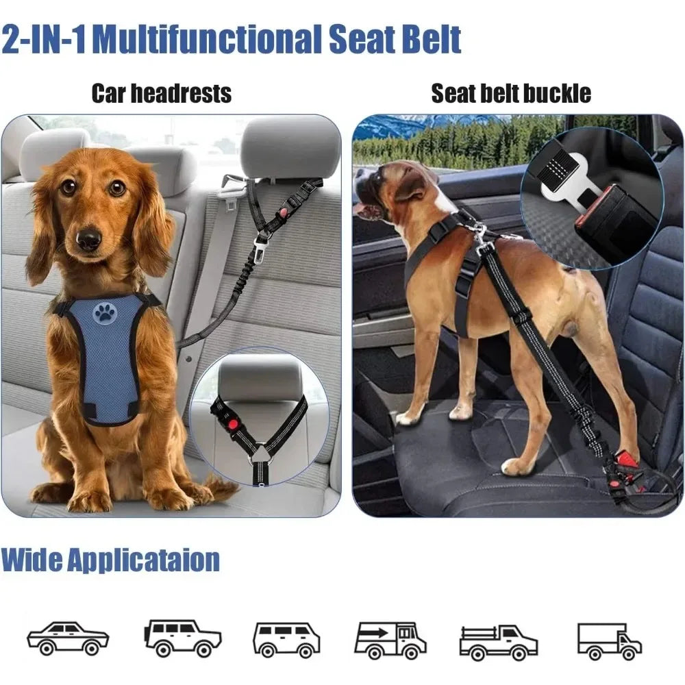 GuardLeash 2-in-1