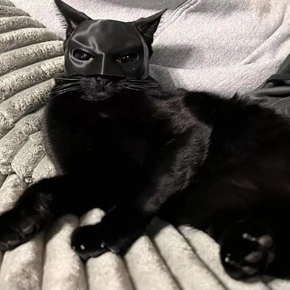 Mystic BatCat Mask