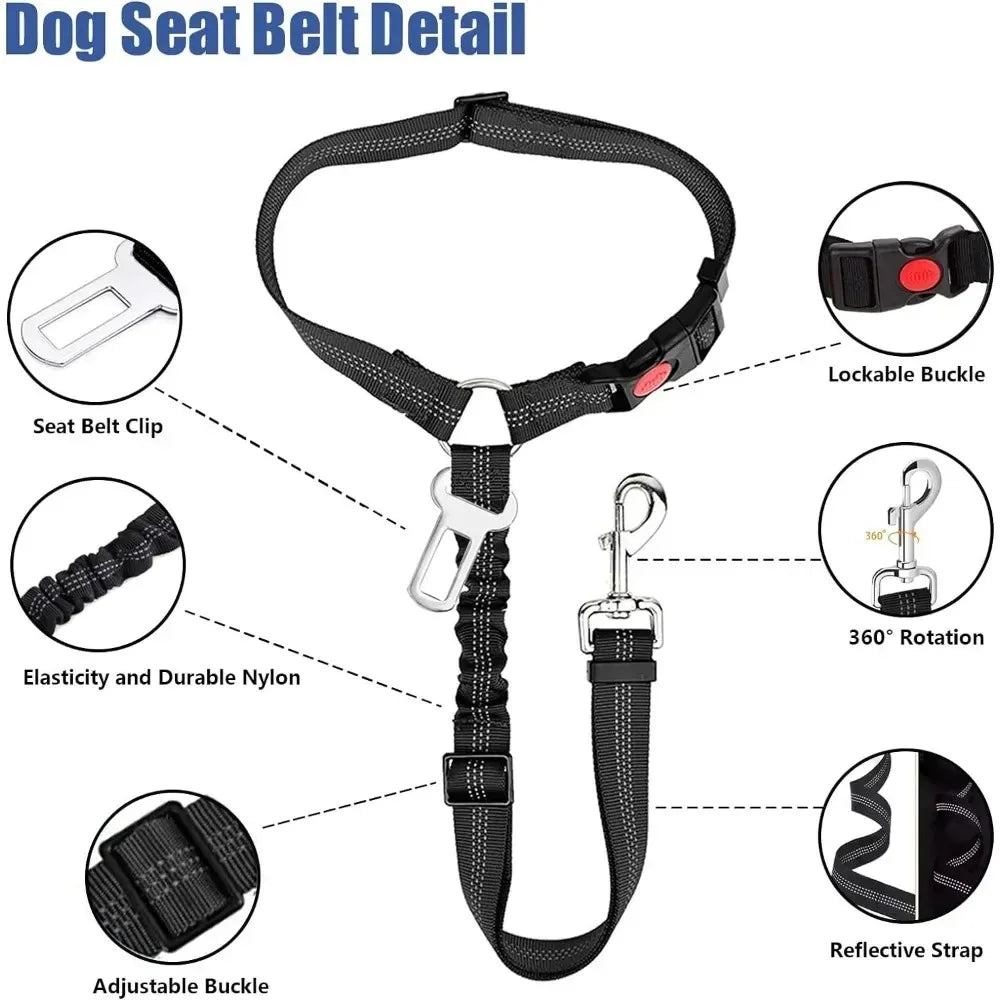 GuardLeash 2-in-1
