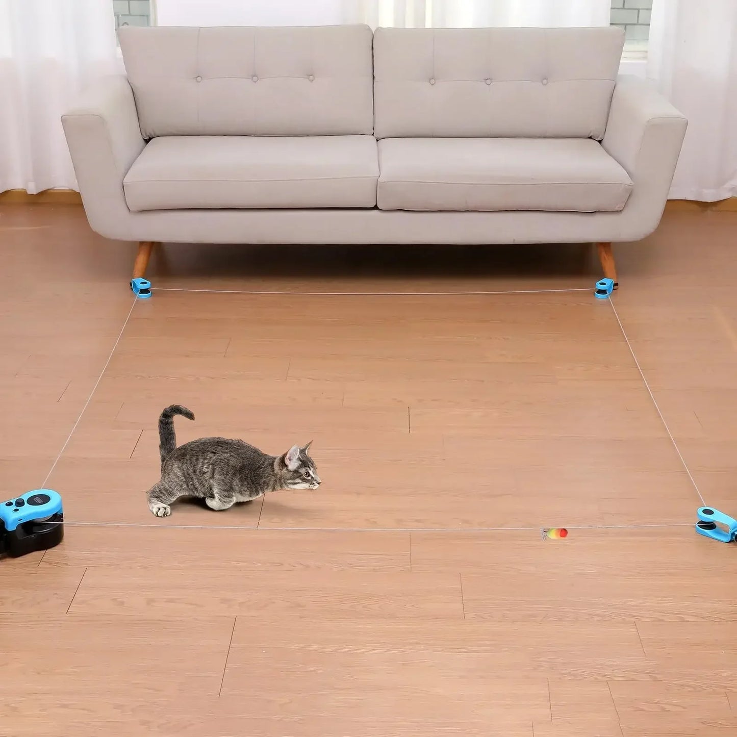 Kitty Kart
