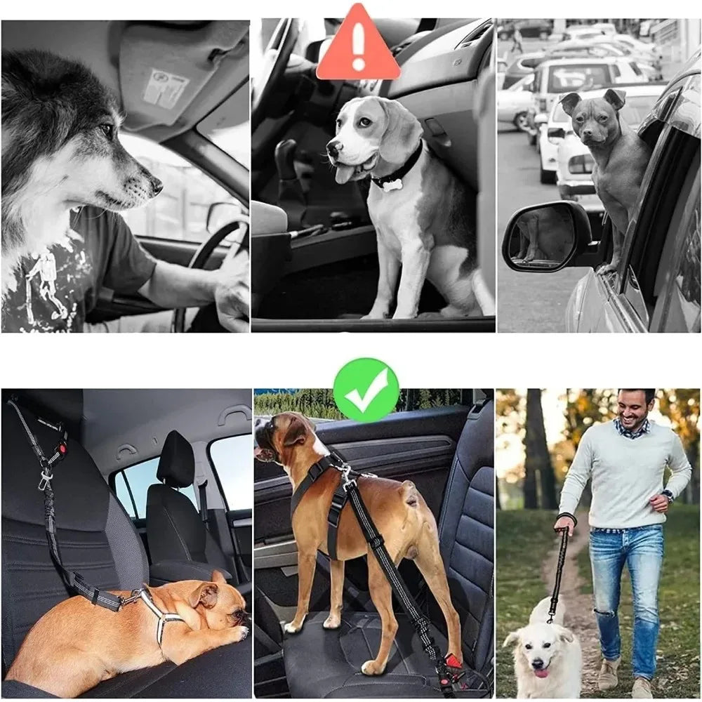 GuardLeash 2-in-1
