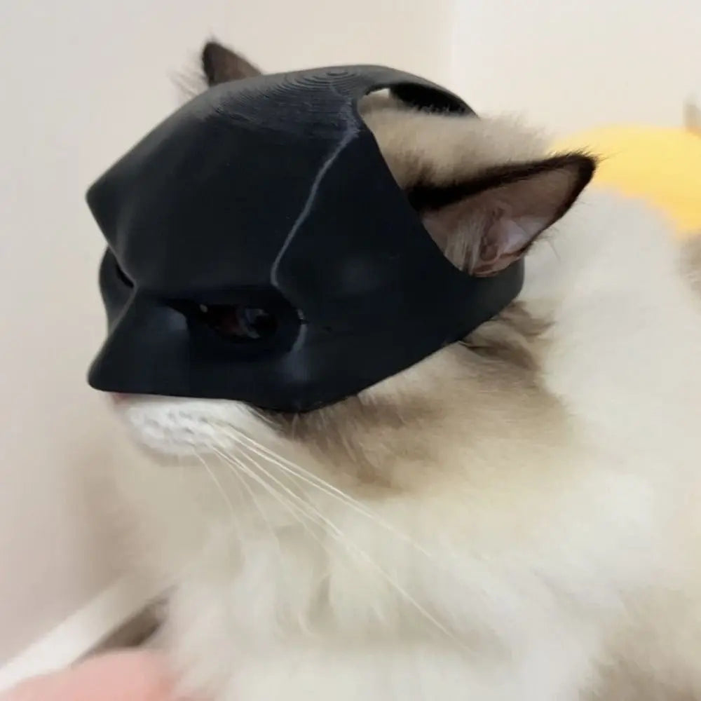 Mystic BatCat Mask