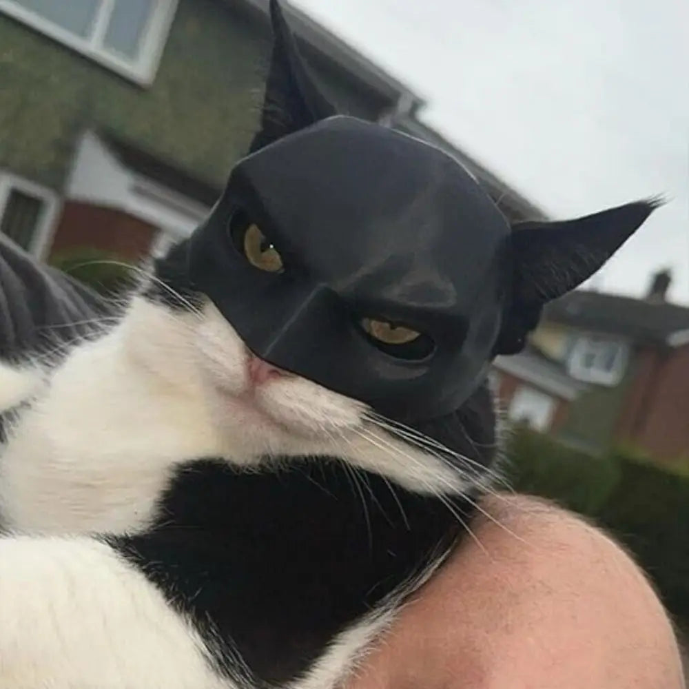 Mystic BatCat Mask