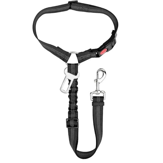 GuardLeash 2-in-1
