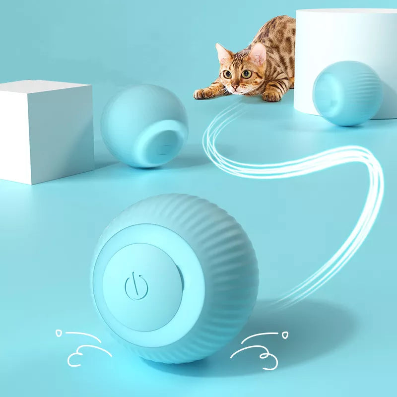 Cat Smart Ball Toy